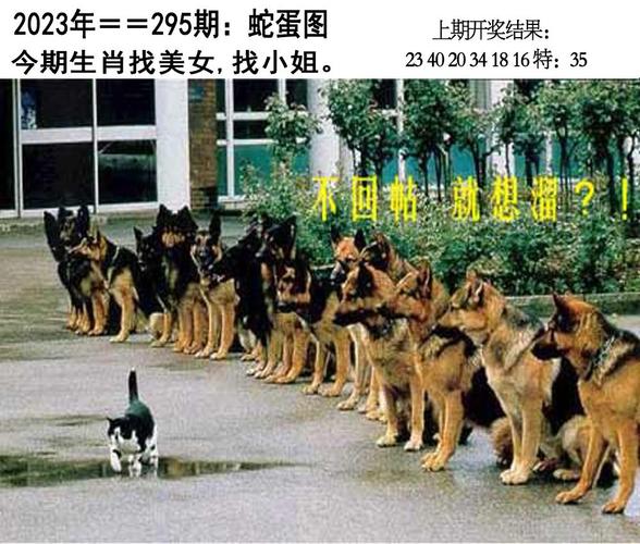 客户服务 第19页