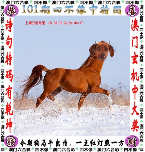2025澳门天天开好彩大全2023:拿纸质二维码买煎饼