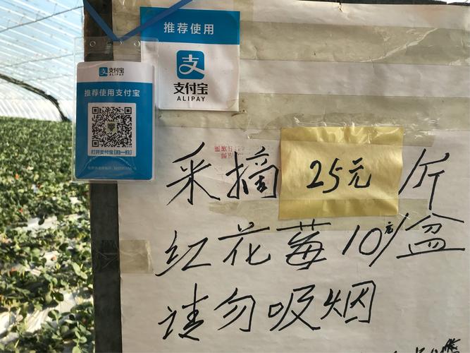 新澳2025年最新版资料柳媚花明:加沙数万难民抢食物