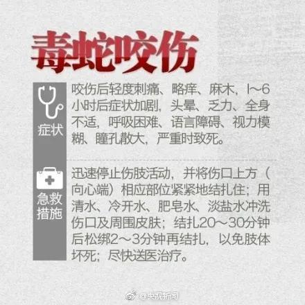 85118cσm查询澳彩内部资料:女子遭毒蛇咬伤身亡