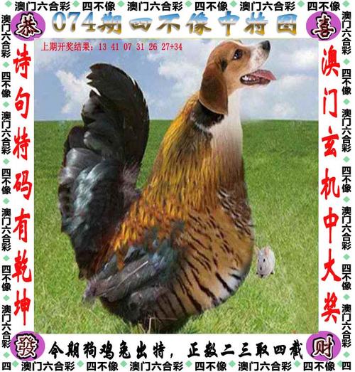 新澳彩免费长期资料大全:刘品言官宣怀孕喜讯