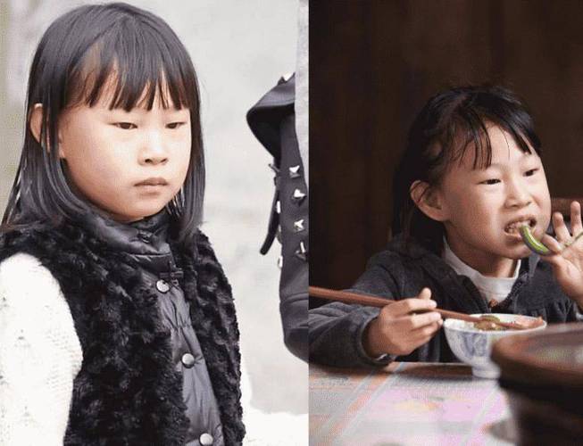 澳彩资料免费提供资料:小沈阳女儿将出道